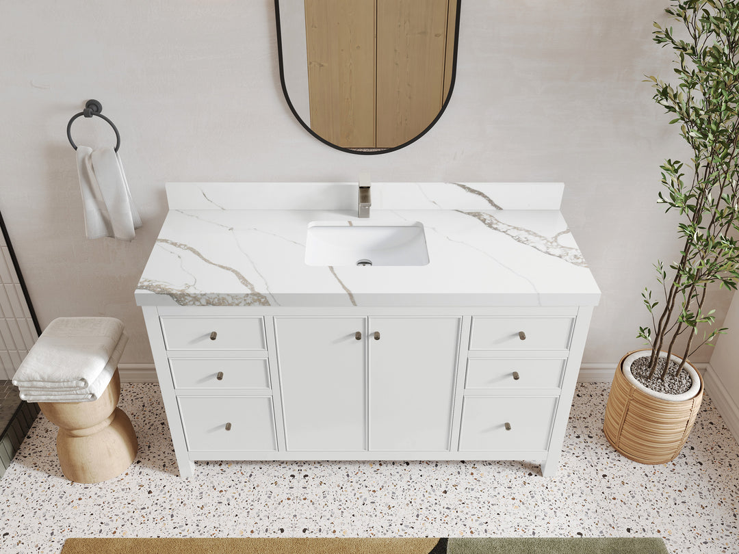 Chicago 60 in. W x 22 in. D Single Sink Bathroom Vanity