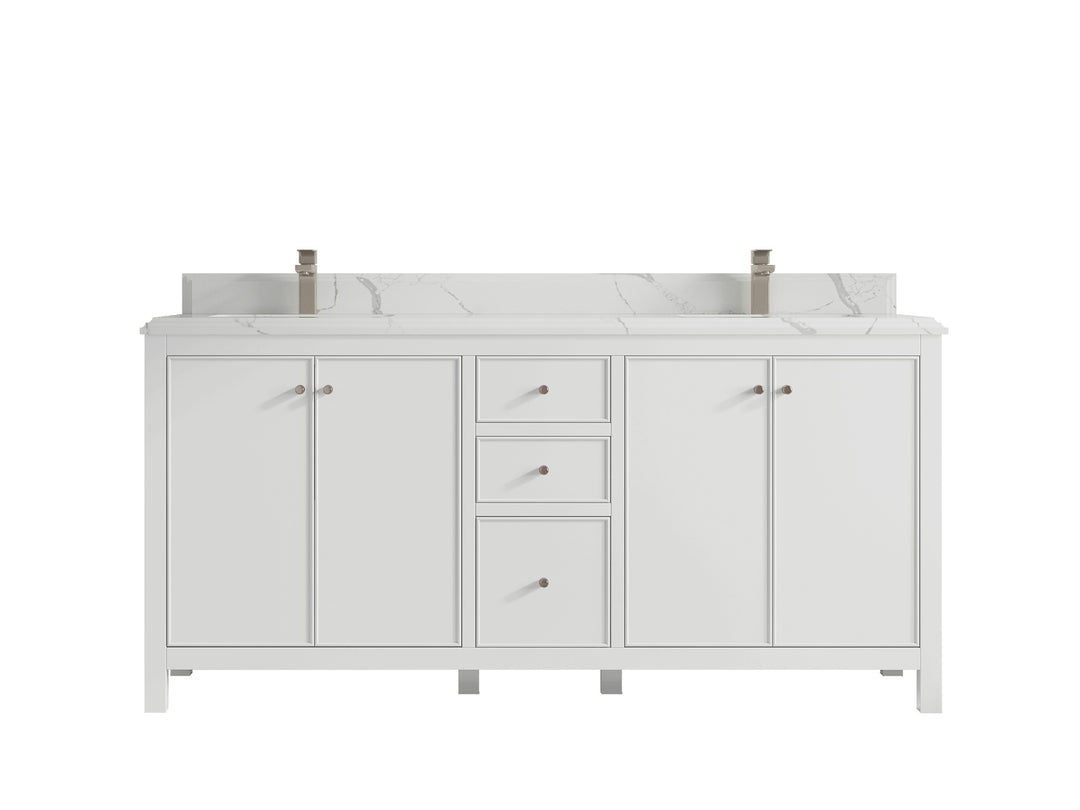 Chicago 72 in. W x 22 in. D Double Sink Bathroom Vanity