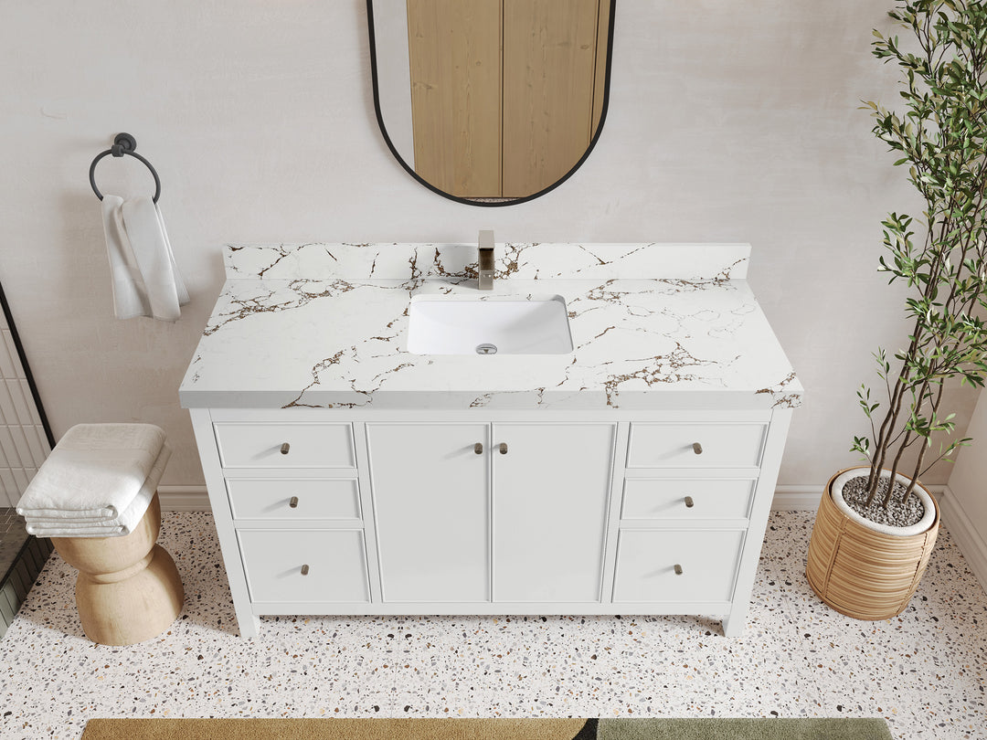 Chicago 60 in. W x 22 in. D Single Sink Bathroom Vanity