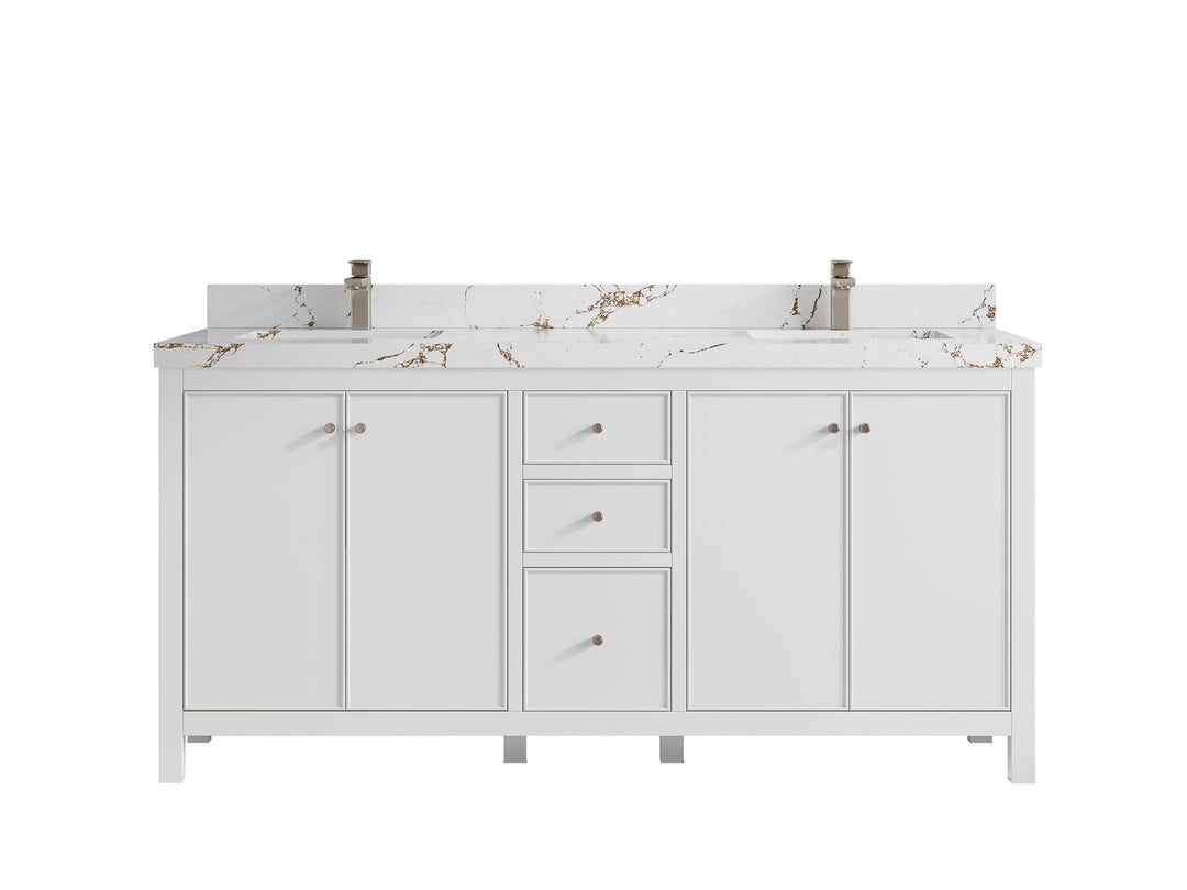 Chicago 72 in. W x 22 in. D Double Sink Bathroom Vanity