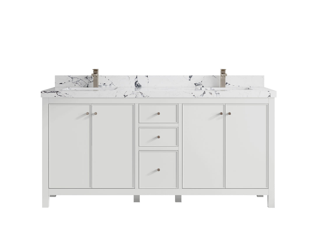 Chicago 72 in. W x 22 in. D Double Sink Bathroom Vanity