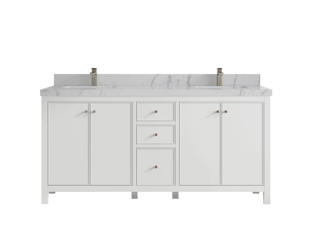Chicago 72 in. W x 22 in. D Double Sink Bathroom Vanity