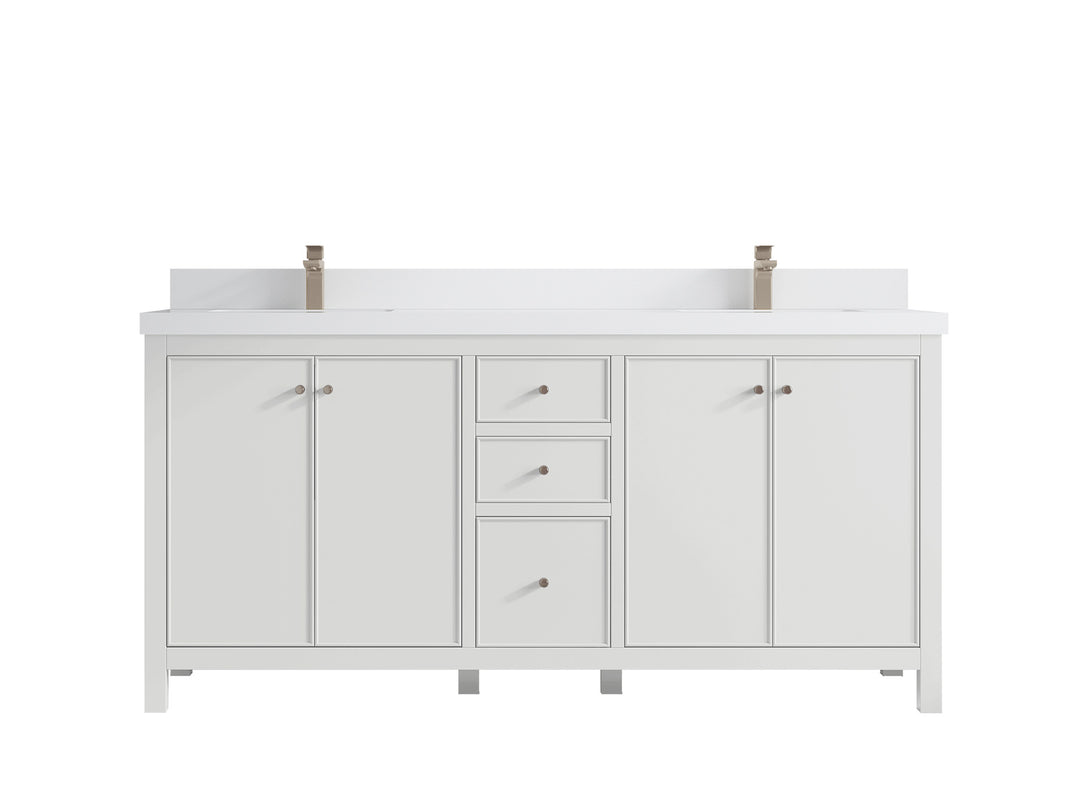 Chicago 72 in. W x 22 in. D Double Sink Bathroom Vanity