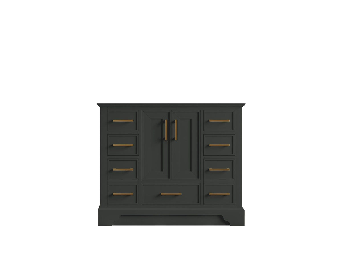 Charlotte 42 in. W x 22 in. D Single Sink Bathroom Vanity in Black Top with countertop - Cabinet Only