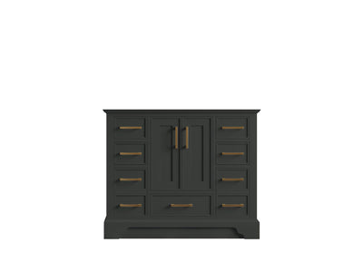 Charlotte 42 in. W x 22 in. D Single Sink Bathroom Vanity in Black Top with countertop - Cabinet Only