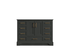 Charlotte 48 in. W x 22 in. D Single Sink Bathroom Vanity - photo 43