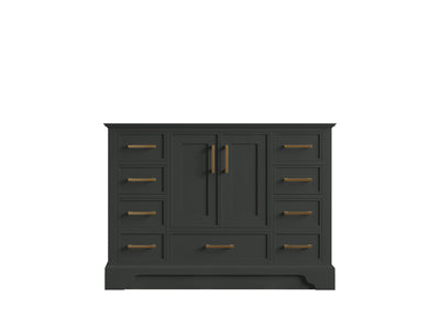 Charlotte 48 in. W x 22 in. D Single Sink Bathroom Vanity
