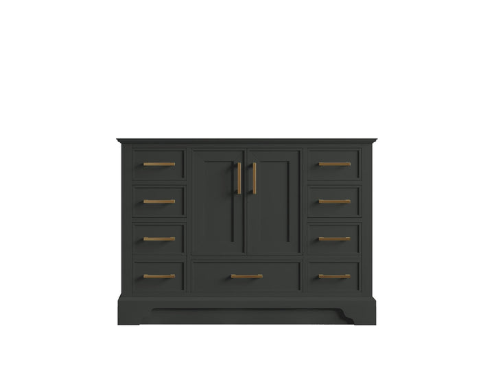 Charlotte 48 in. W x 22 in. D Single Sink Bathroom Vanity - photo 43