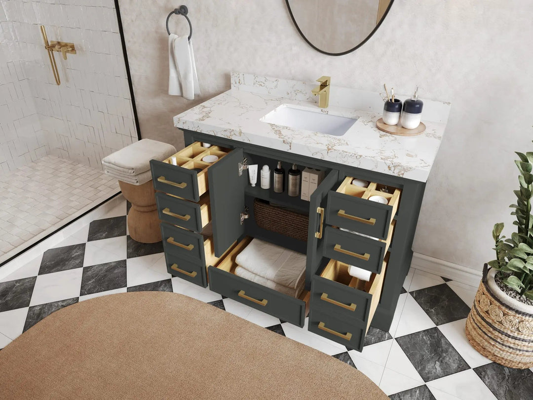 Charlotte 48 in. W x 22 in. D Single Sink Bathroom Vanity