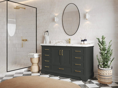 Charlotte 60 in. W x 22 in. D Single Sink Bathroom Vanity