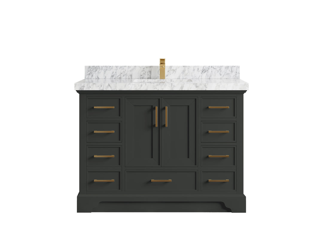 Charlotte 48 in. W x 22 in. D Single Sink Bathroom Vanity