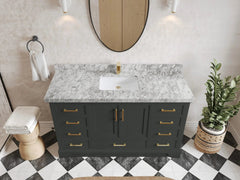 Charlotte 60 in. W x 22 in. D Single Sink Bathroom Vanity - photo 17