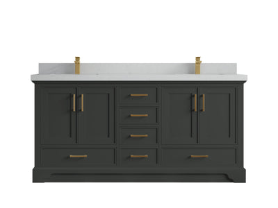 Charlotte 72 in. W x 22 in. D Double Sink Bathroom Vanity