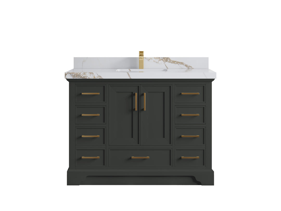 Charlotte 48 in. W x 22 in. D Single Sink Bathroom Vanity