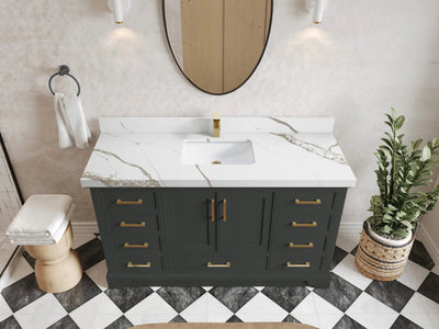 Charlotte 60 in. W x 22 in. D Single Sink Bathroom Vanity