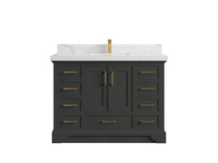 Charlotte 48 in. W x 22 in. D Single Sink Bathroom Vanity - photo 1