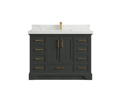 Charlotte 48 in. W x 22 in. D Single Sink Bathroom Vanity
