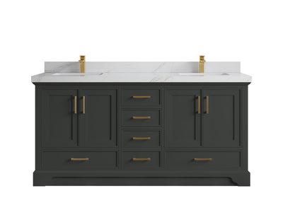 Charlotte 72 in. W x 22 in. D Double Sink Bathroom Vanity