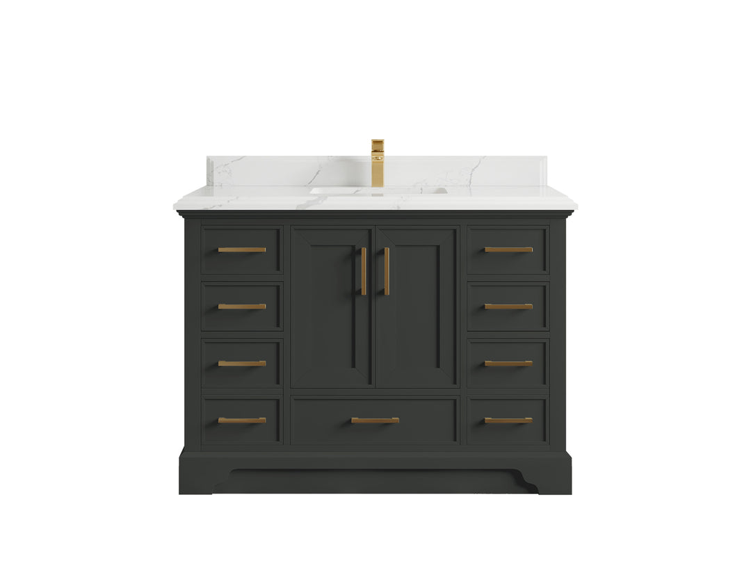 Charlotte 48 in. W x 22 in. D Single Sink Bathroom Vanity