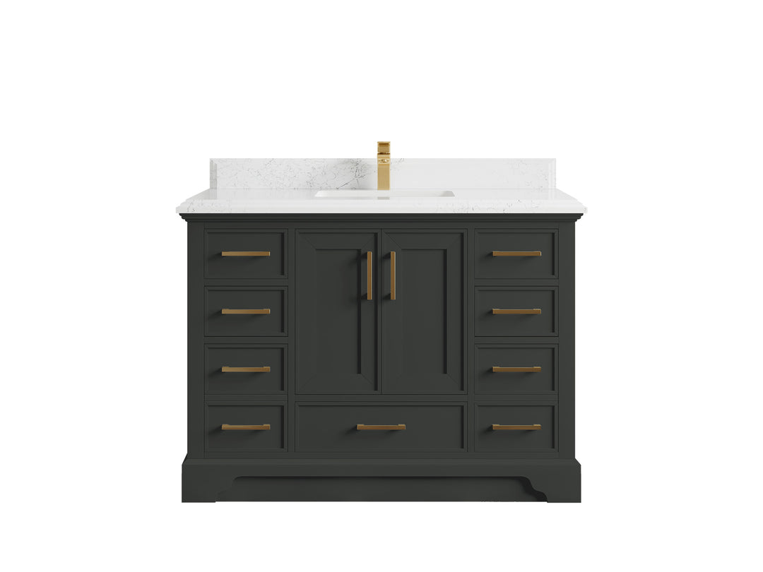 Charlotte 48 in. W x 22 in. D Single Sink Bathroom Vanity