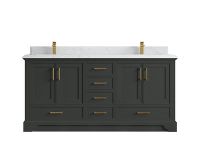 Charlotte 72 in. W x 22 in. D Double Sink Bathroom Vanity