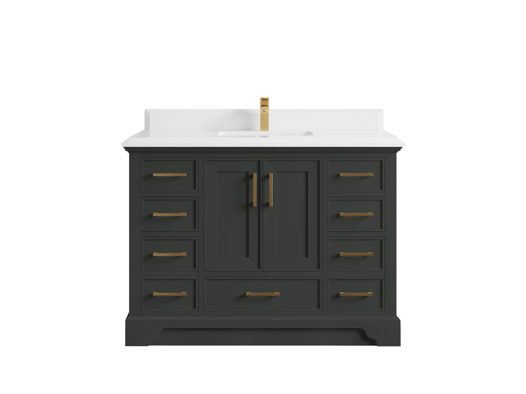 Charlotte 48 in. W x 22 in. D Single Sink Bathroom Vanity