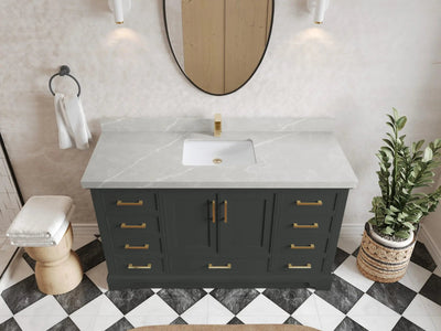 Charlotte 60 in. W x 22 in. D Single Sink Bathroom Vanity