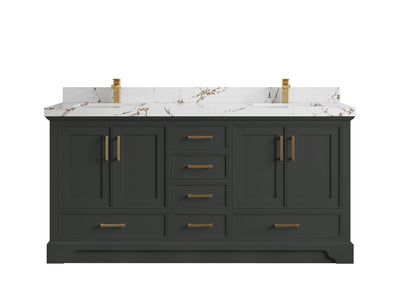 Charlotte 72 in. W x 22 in. D Double Sink Bathroom Vanity