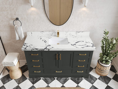 Charlotte 60 in. W x 22 in. D Single Sink Bathroom Vanity