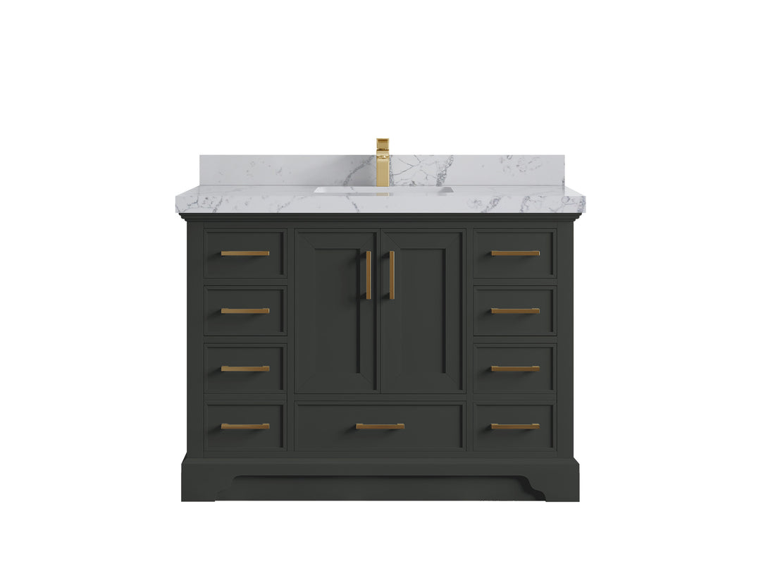 Charlotte 48 in. W x 22 in. D Single Sink Bathroom Vanity