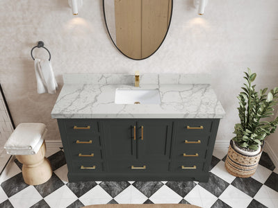 Charlotte 60 in. W x 22 in. D Single Sink Bathroom Vanity
