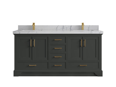 Charlotte 72 in. W x 22 in. D Double Sink Bathroom Vanity