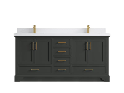 Charlotte 72 in. W x 22 in. D Double Sink Bathroom Vanity