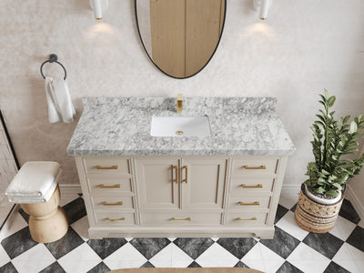 Charlotte 60 in. W x 22 in. D Single Sink Bathroom Vanity