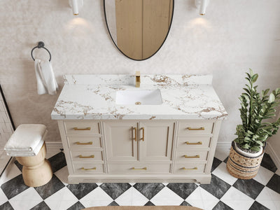 Charlotte 60 in. W x 22 in. D Single Sink Bathroom Vanity