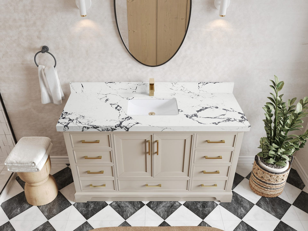 Charlotte 60 in. W x 22 in. D Single Sink Bathroom Vanity