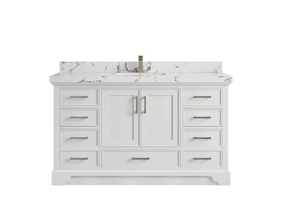 Charlotte 60 in. W x 22 in. D Single Sink Bathroom Vanity