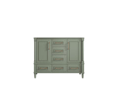 Aberdeen 42 in. W x 22 in. D Single Sink Bathroom Vanity - photo 6