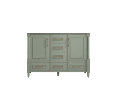 Aberdeen 48 in. W x 22 in. D Single Sink Bathroom Vanity - photo 6