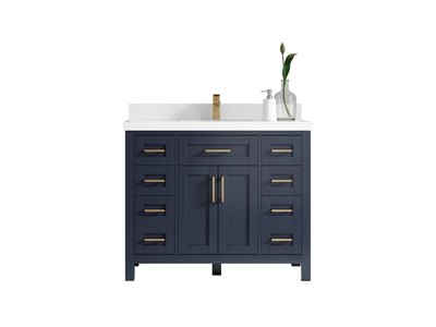 Cambridge 42 in. W x 22 in. D Single Sink Bathroom Vanity