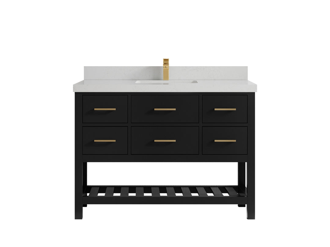 Parker 48 in. W x 22 in. D Single Sink Bathroom Vanity