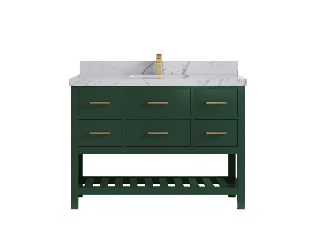 Parker 48 in. W x 22 in. D Single Sink Bathroom Vanity