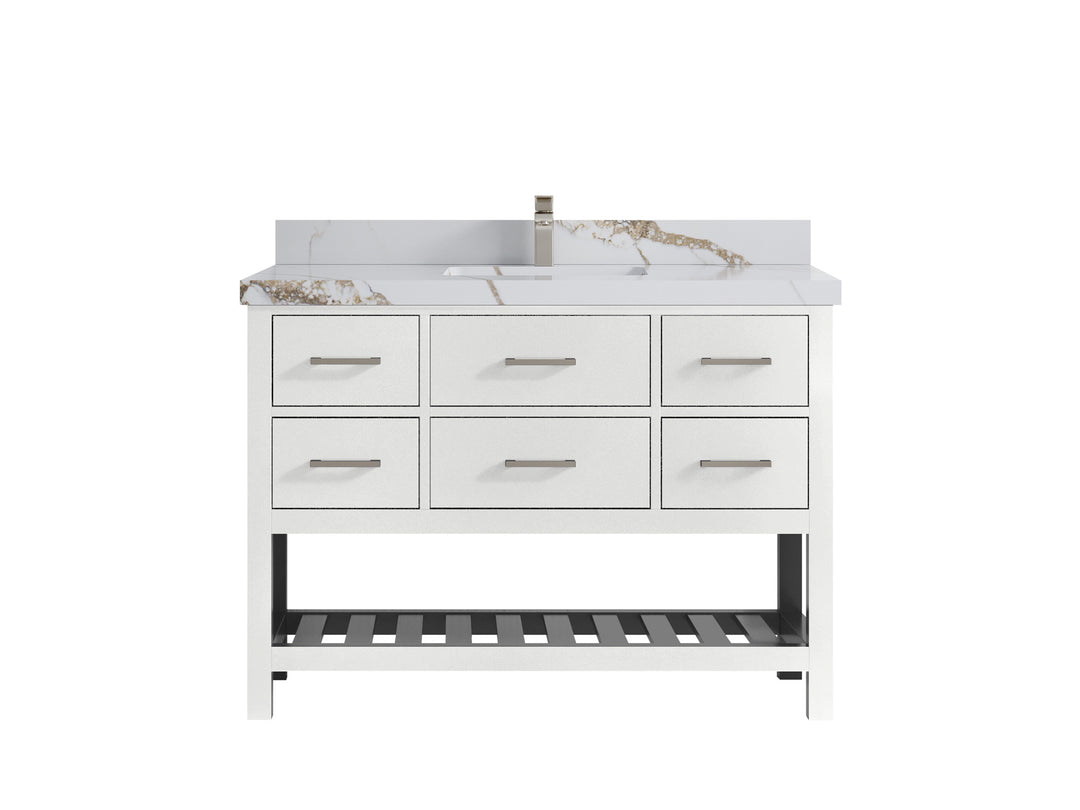 Parker 48 in. W x 22 in. D Single Sink Bathroom Vanity