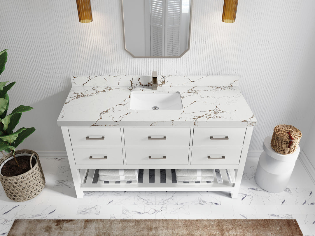 Parker 60 in. W x 22 in. D Single Sink Bathroom Vanity