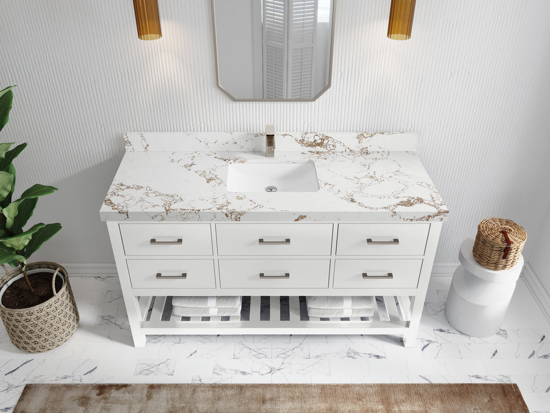 Parker 60 in. W x 22 in. D Single Sink Bathroom Vanity