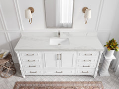 Aberdeen 72 in. W x 22 in. D Single Sink Bathroom Vanity - photo 13
