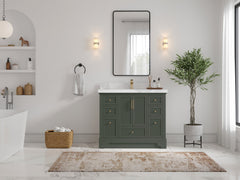 Alys 42 in. W x 22 in. D Single Sink Bathroom Vanity - photo 4