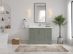 Alys 48 in. W x 22 in. D Single Sink Bathroom Vanity - photo 4