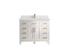 Cambridge 42 in. W x 22 in. D Single Sink Bathroom Vanity - photo 21