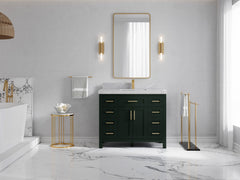 Cambridge 42 in. W x 22 in. D Single Sink Bathroom Vanity - photo 36